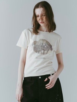 Studded Compact Tee  / IVORY
