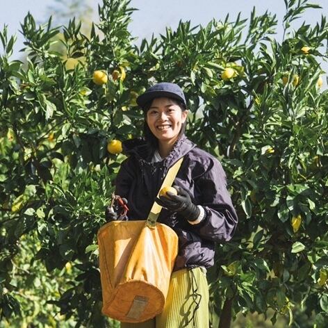 箱入3本】HIKEの皮ごとみかんジュース 720ml | HIKE