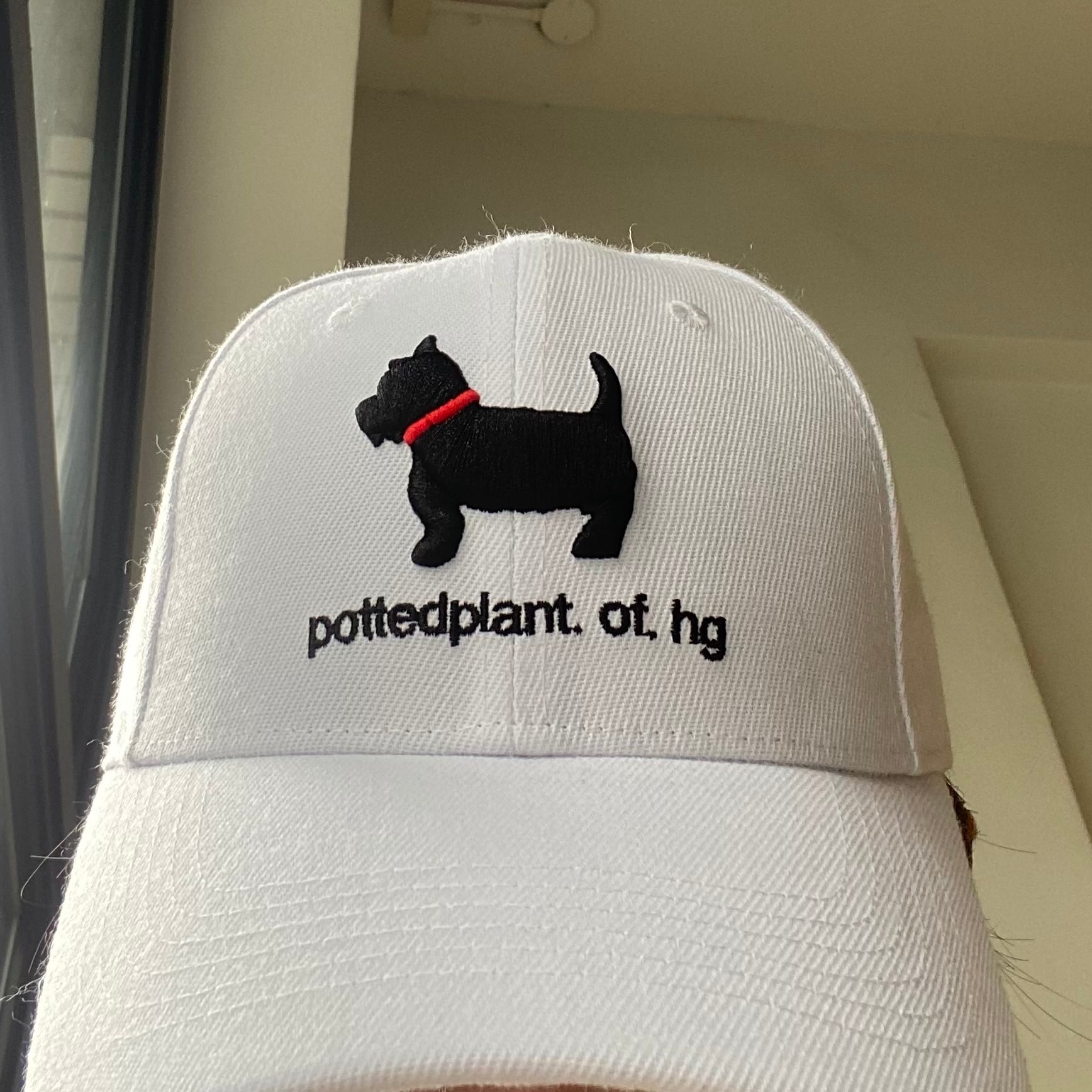 Day Puppy Cap