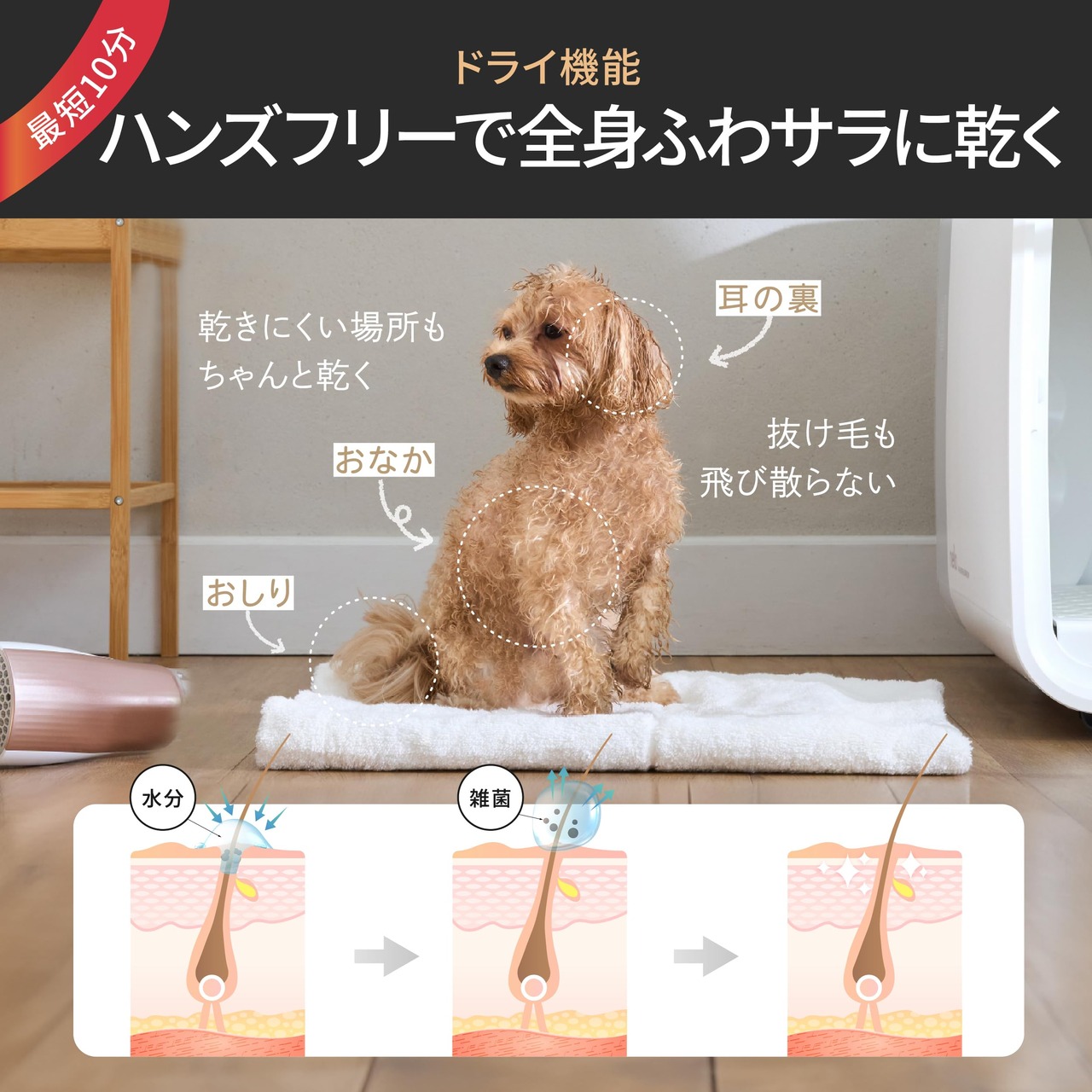 CAARANY 犬 育くま 猫 ペットドライルーム 65L 大容量 日本語取扱説明書 