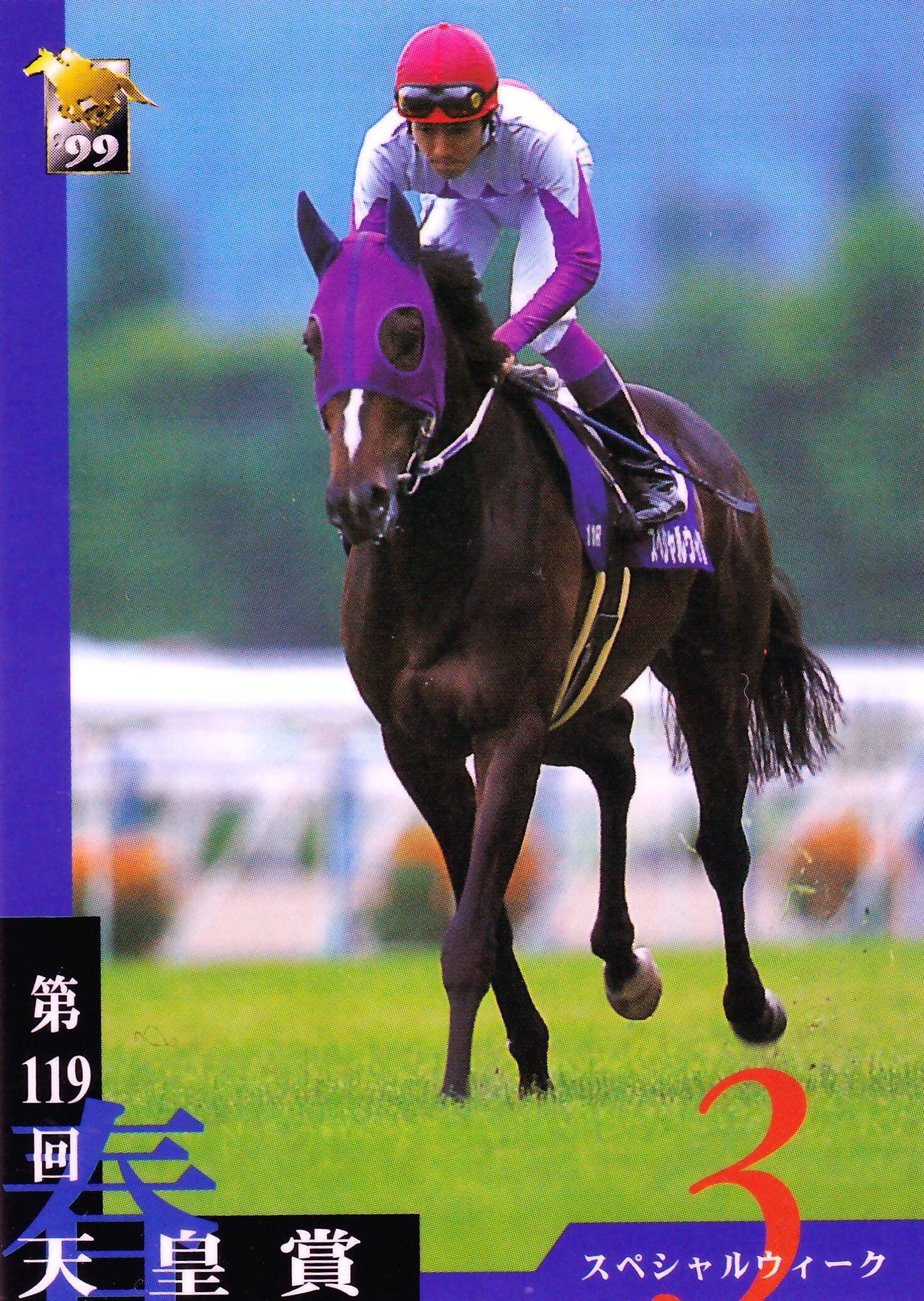 スペシャルウィーク：第119回 天皇賞(春)出走馬「サラブレッドカード