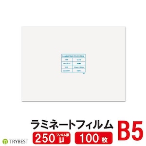 ラミネートフィルム B5  250ミクロン 100枚 188×263ｍｍ 送料無料