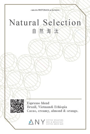 【100g】Natural Selection - Espresso blend / 自然淘汰 - エスプレッソブレンド