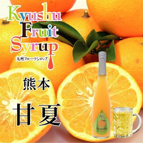 九州果実シロップ 割り材 甘夏 3倍希釈 500ml はちみつ入り ノン