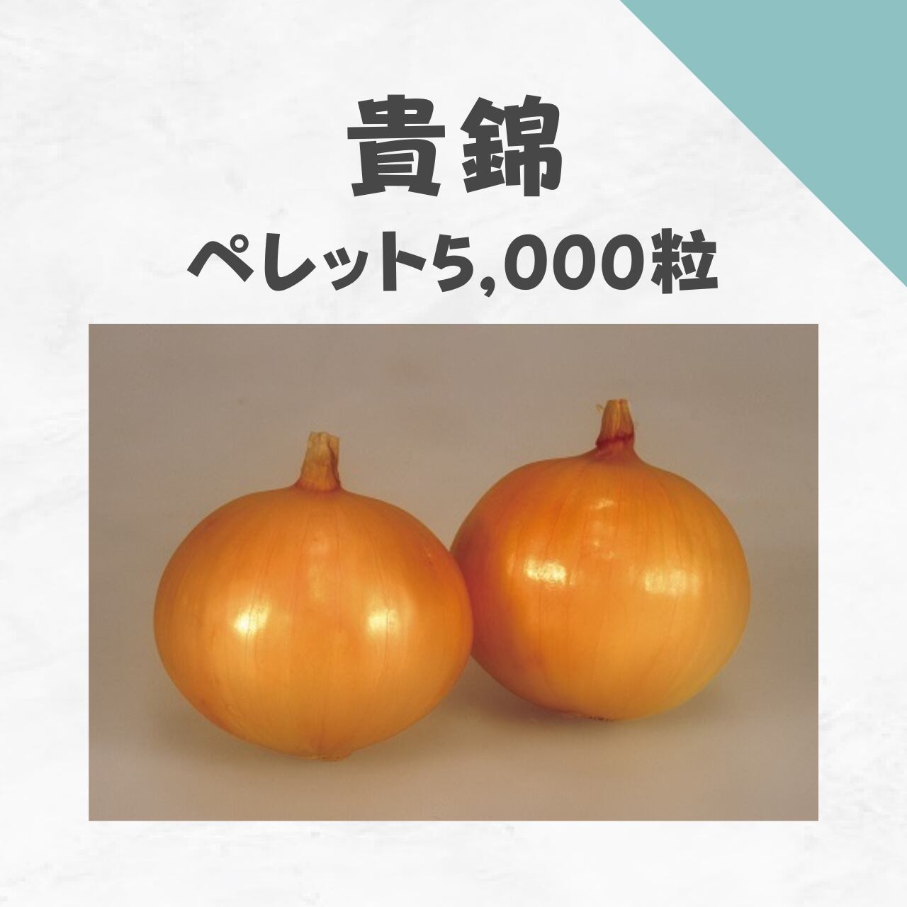 貴錦 タマネギ種子・ペレット5,000粒