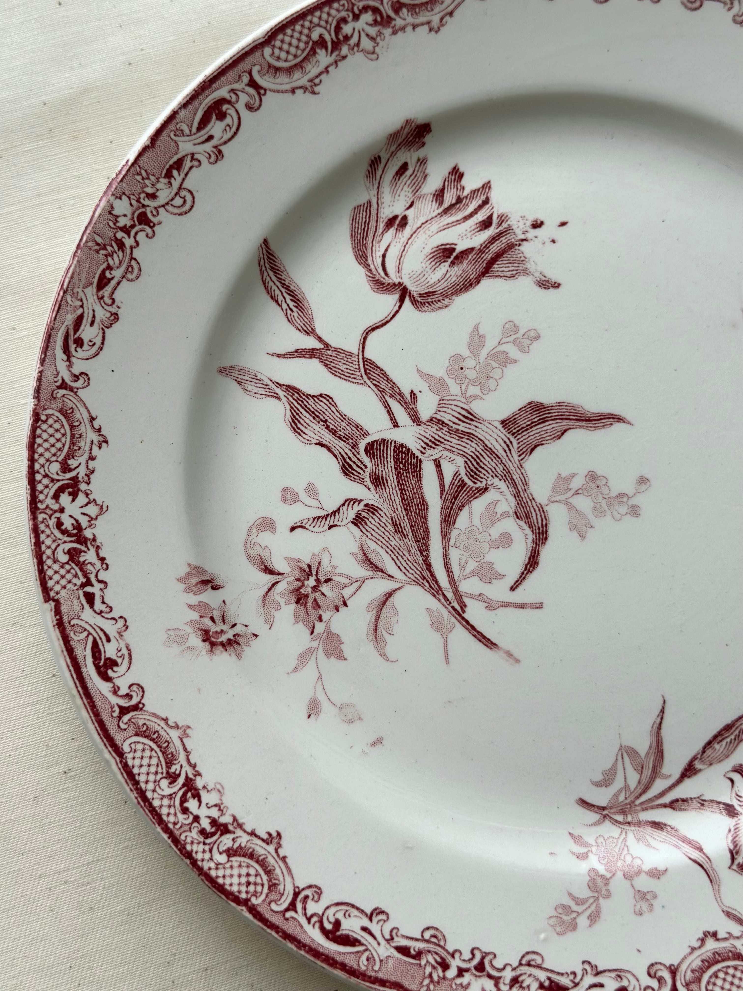 ③サルグミンヌ FONTANGES ディナープレート ②サルグミンヌ FONTANGES ディナープレート - メルカリ