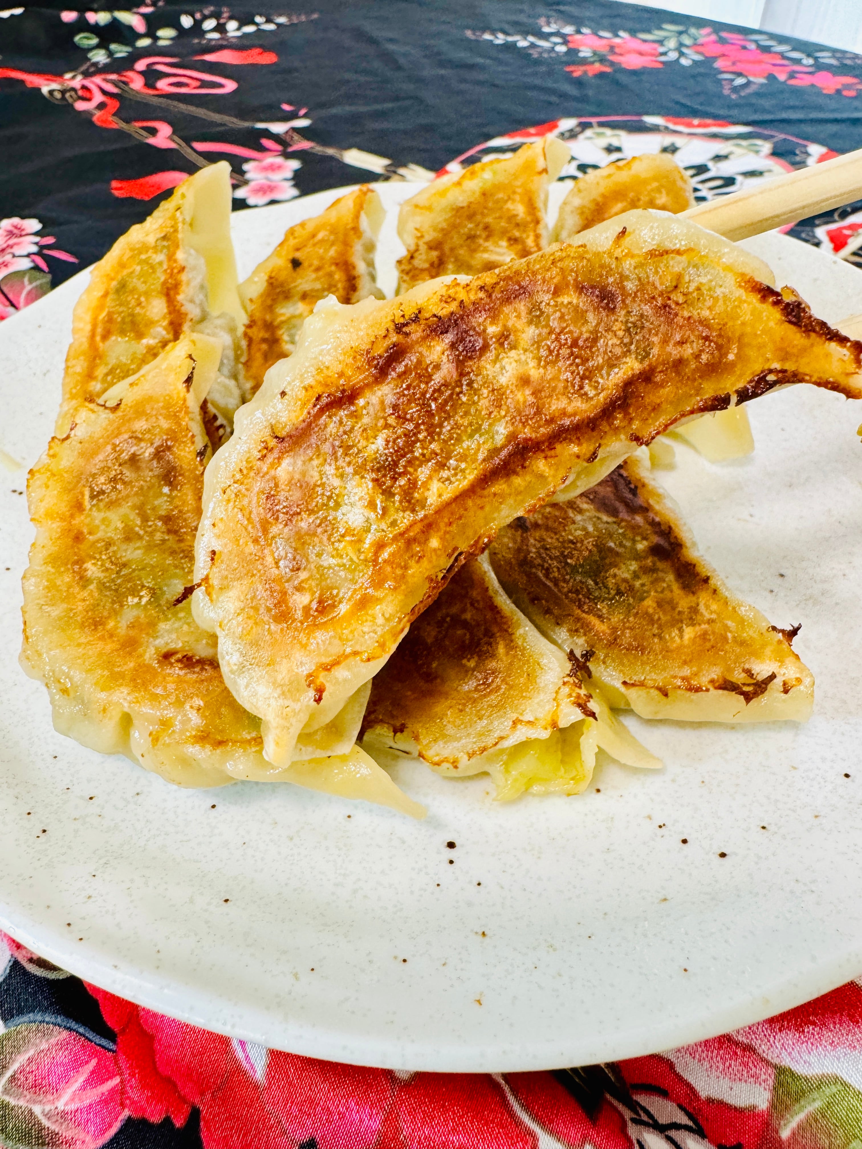 きょうのきゅうしょく 花伝の生冷凍餃子(5粒入) | 冷凍グルメ工房 餃子花伝-Gyoza Kaden-