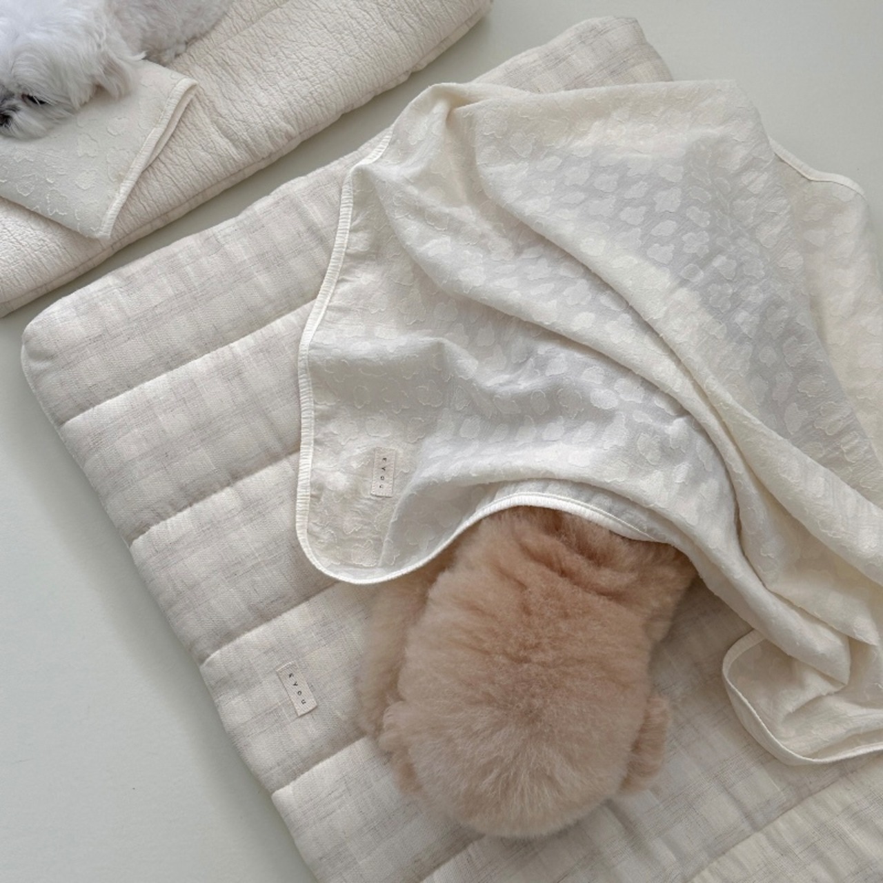 【即納】EYOU ムンゲムンゲ（もくもく雲）ブランケット - 4