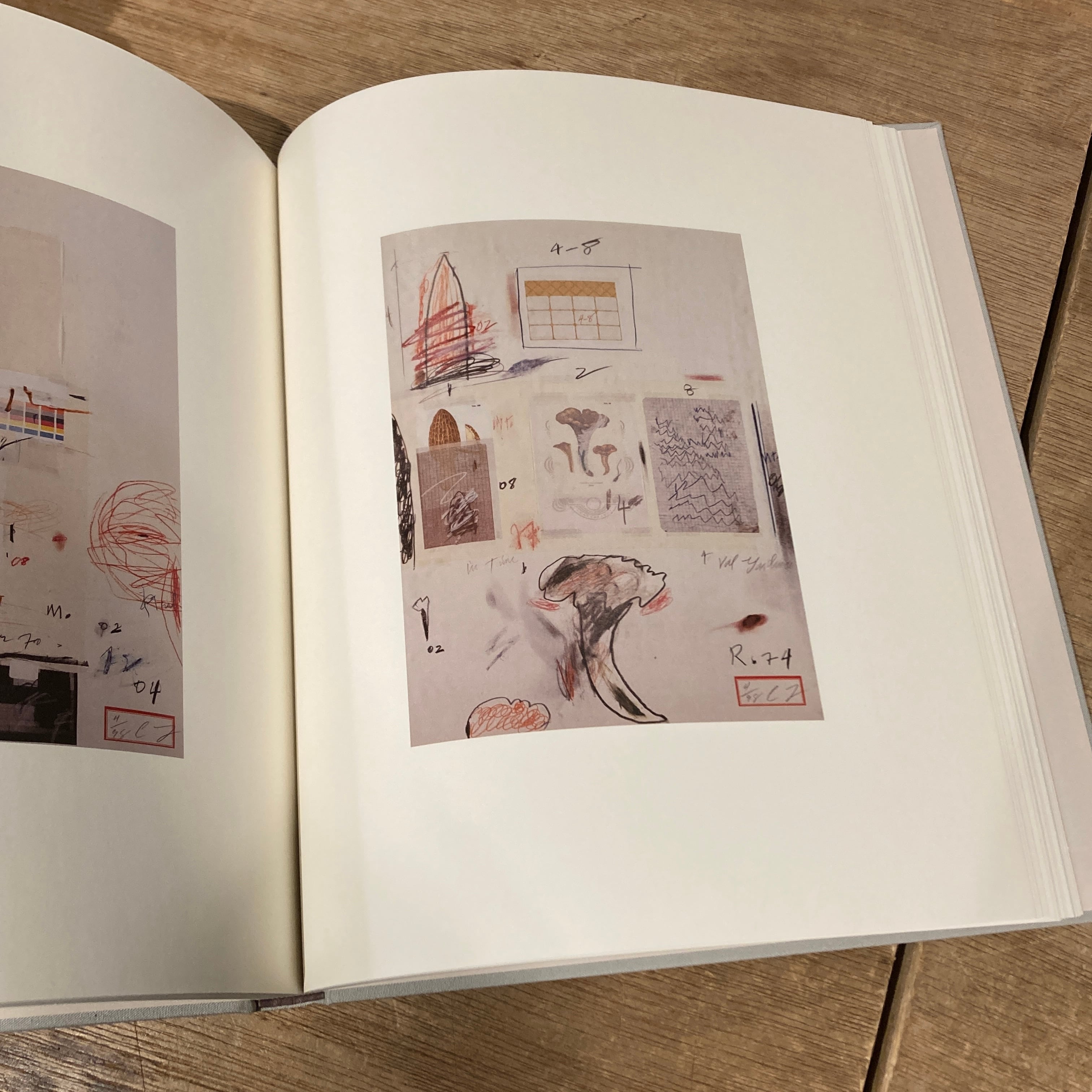 Cy Twombly Photographs Lyrical Variations サイ・トゥオンブリ―の