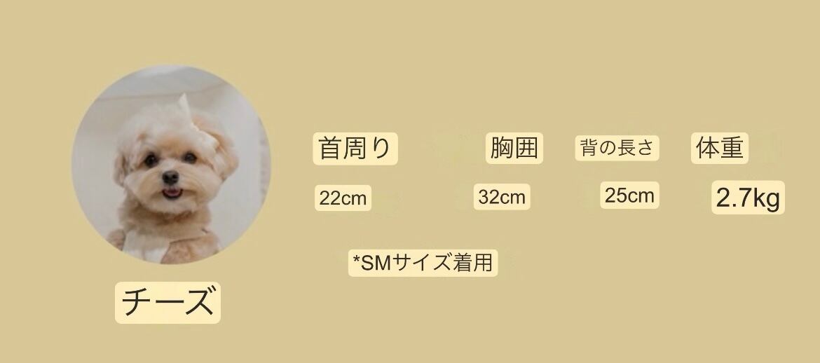 【cheese n mood】Logo turtleneck