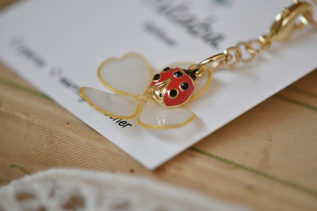 ラッキーチャーム