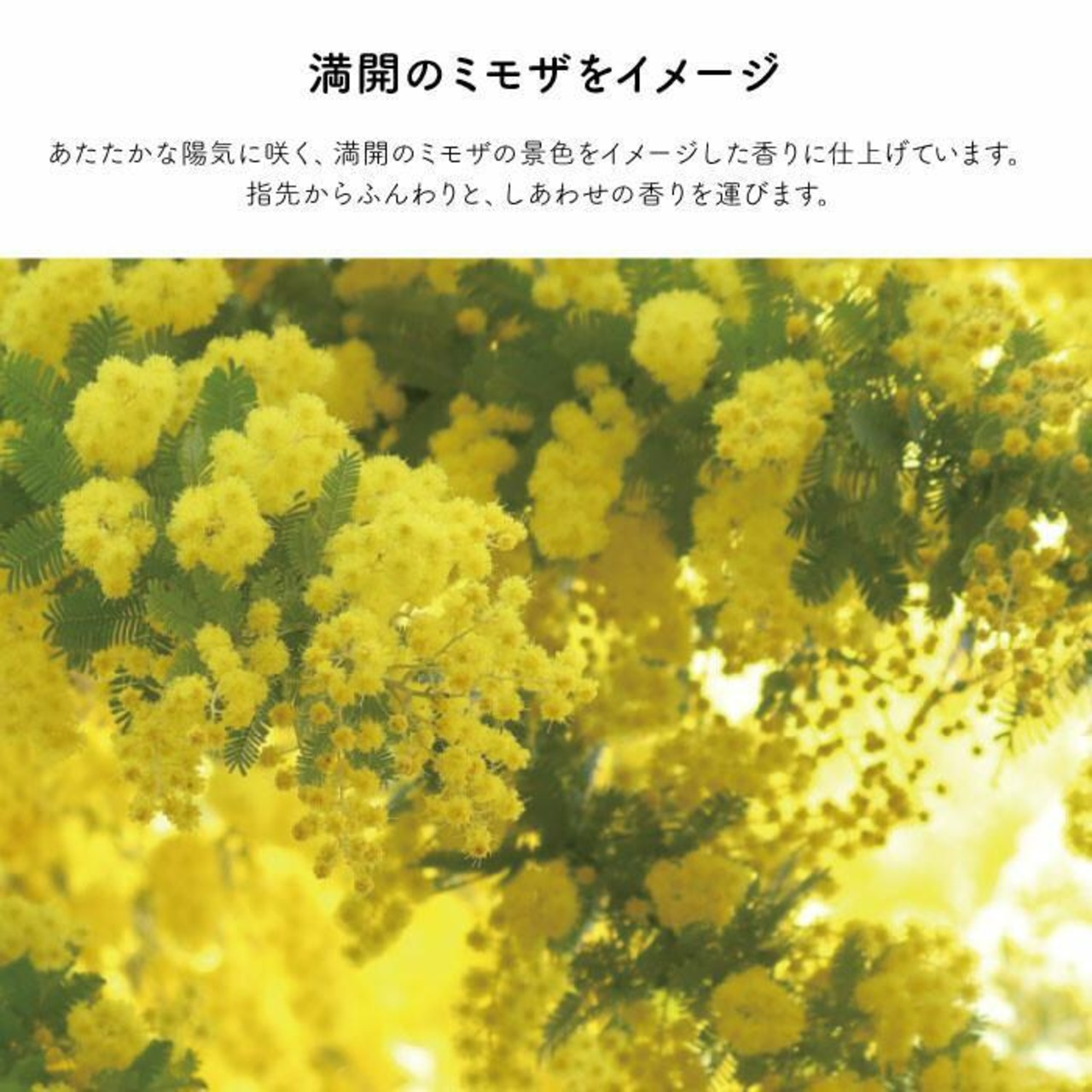 ネイルオイル ミモザ の香り コンパクト 携帯 いい香り アロマ 花 かわいい プレゼント