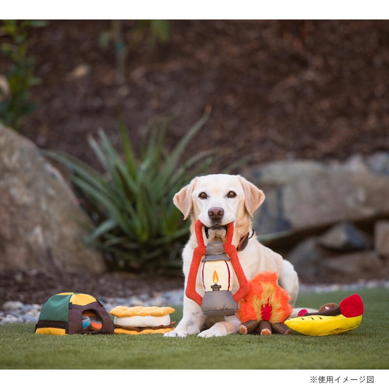 プレイ　犬用おもちゃ　キャンプコーヴィン