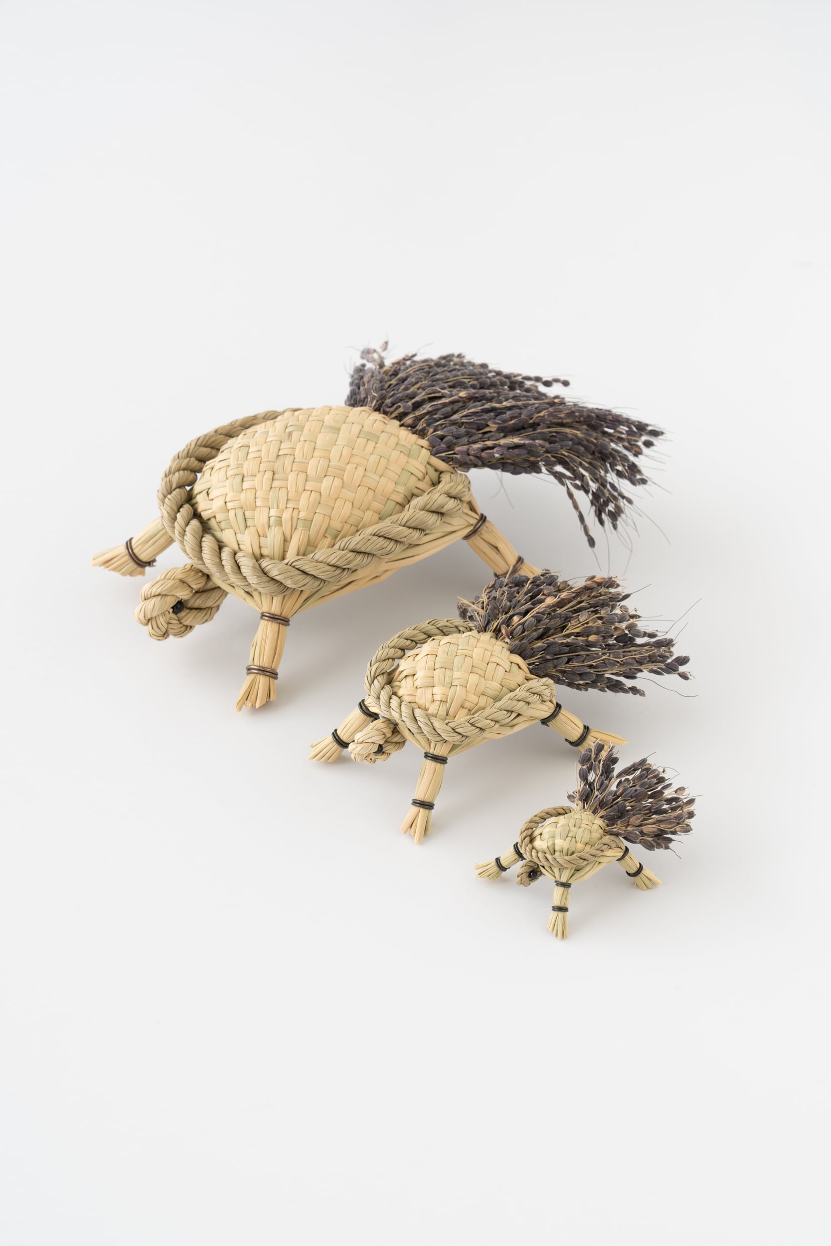 藁細工 / 上甲清「亀」 小 | Y. & SONS ONLINE STORE