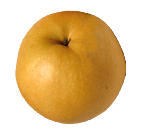 新高　3kg（4~5個）