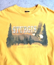 00s HARLEY-DAVIDSON ハーレーダビッドソン STURGIS Tシャツ