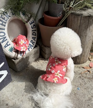 【THEREST OF LIFE】HAWAIIAN FLOWER OPS(red)