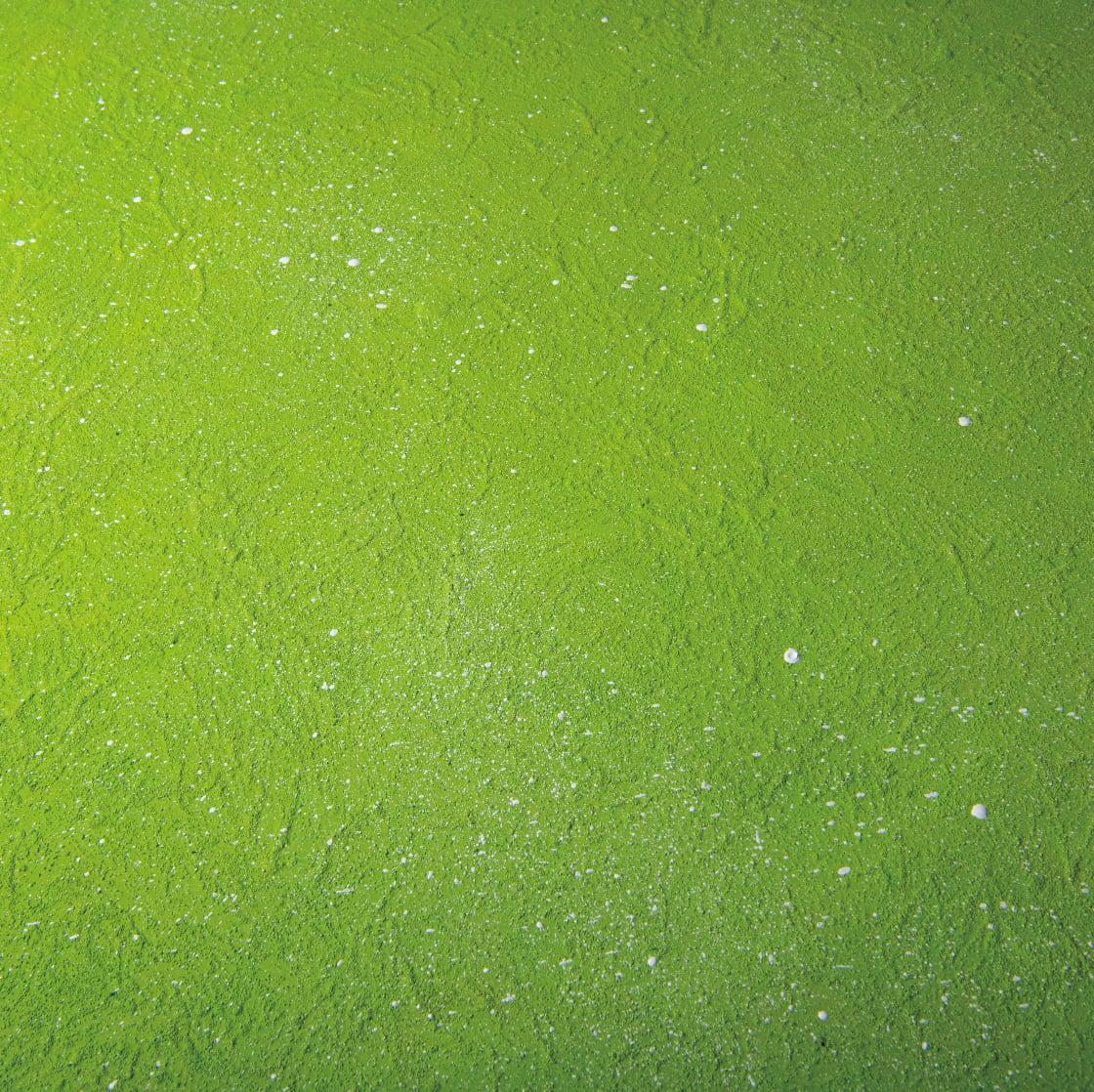 期間限定販売❗️BAEL PHOTO BOARD PRO〈IBUKI〉