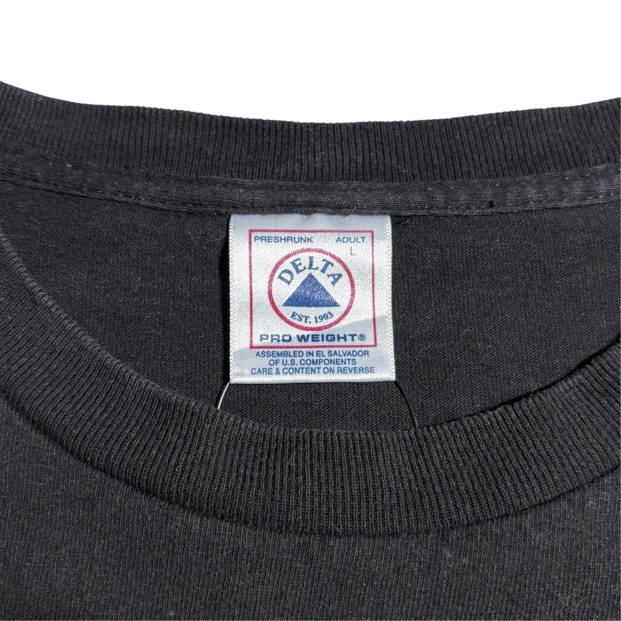 vintage 1990’s BLINK-182 music tee “ジニチミチ”