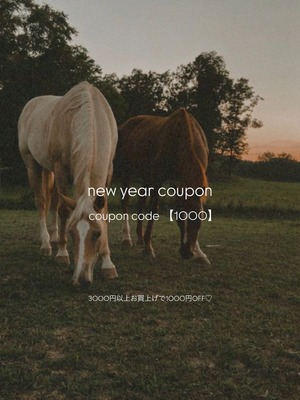 new year coupon