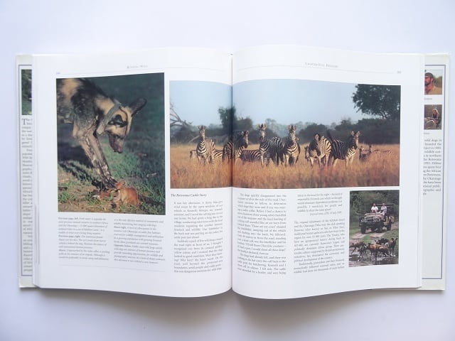 洋書◇アフリカの野犬写真集 本 いぬ 動物 ボツワナ オカバンゴデルタ