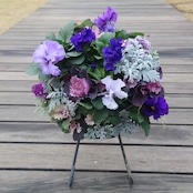 2026年 季節の花苗 ハンギング福袋 5,000円