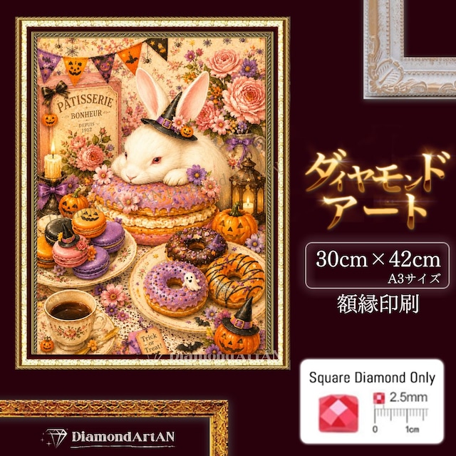 ダイヤモンドアート -AN-