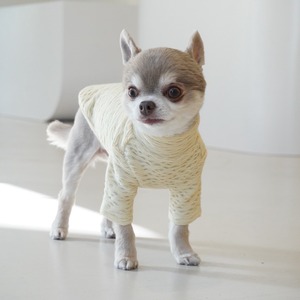 ote. shirring tee  Yellow