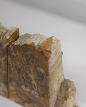 OAK Petrified Wood - Book End #007 ：Natural｜珪化木／一点もの／静かな重み