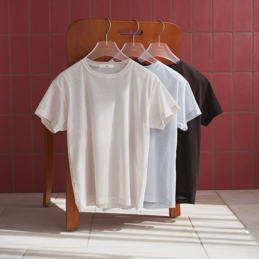 anuke 】Sheer Tulle T-shirt | valance 福井｜レディース セレクト