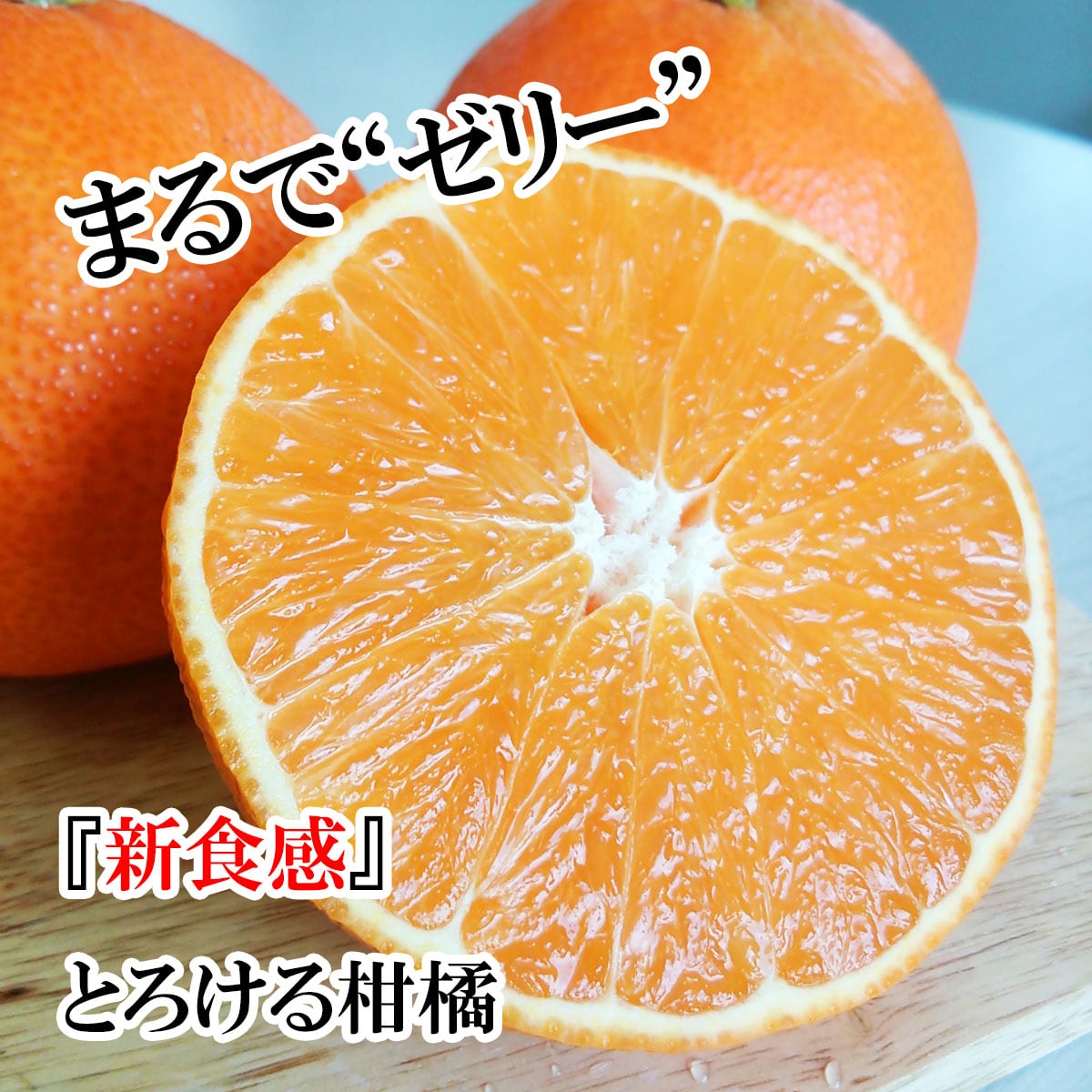 希望の島 中島まどんな 訳あり品 10kg 紅まどんなと同品種 愛媛 中島産