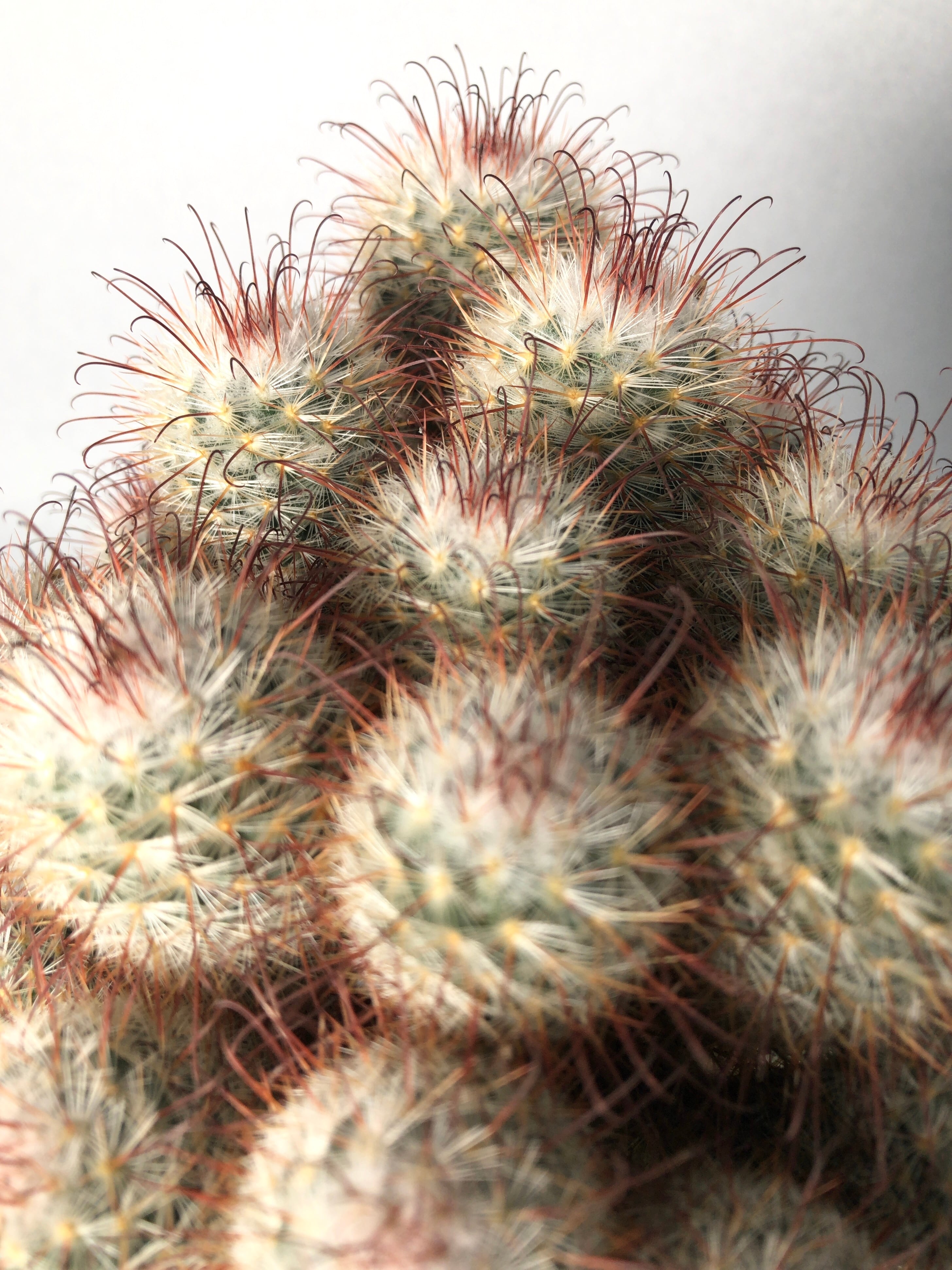 bf1ba07f683a2d6b499f8d24b95c63