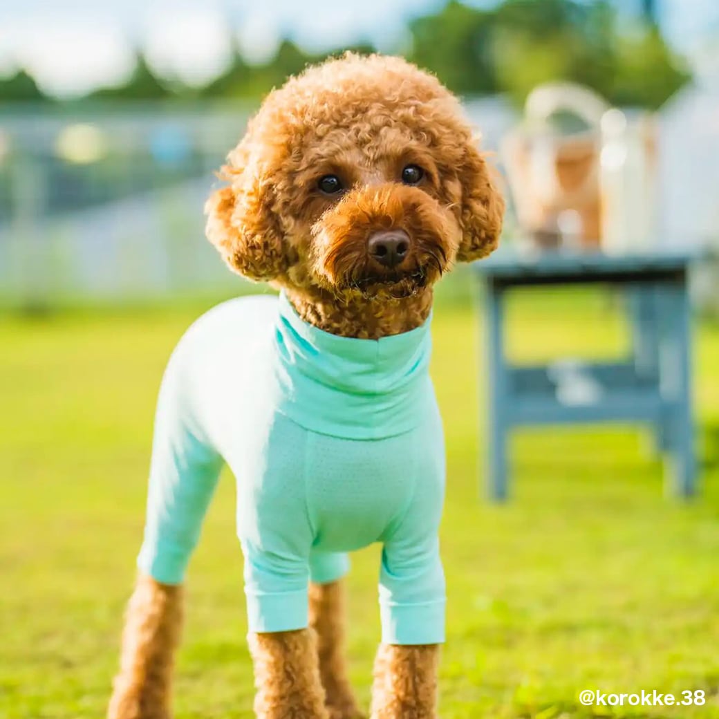 INSECT SHIELD SKIN TIGHT SUIT（XL,XLB,XXL） インセクトシールド