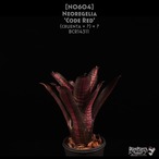【送料無料】Neoregelia 'Code Red'〔ネオレゲリア〕現品発送N0604