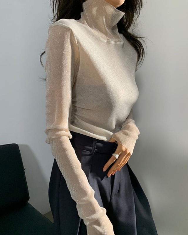 シースルーハイネックトップス　A30180