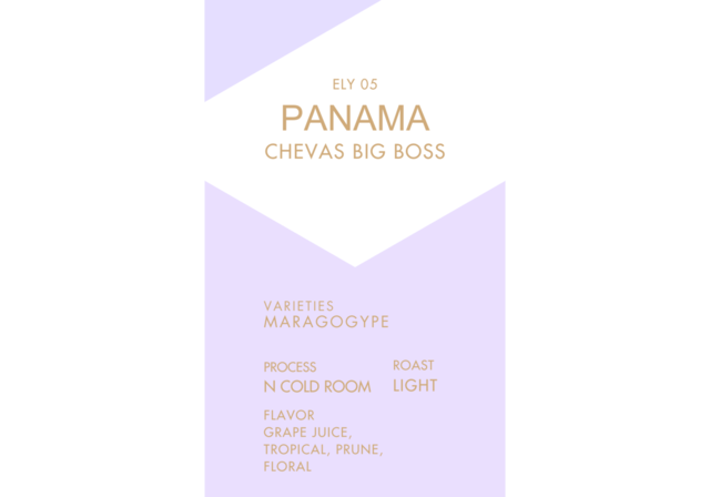 PANAMA CHEVAS BIG BOSS