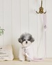 即納【stroll】Rope Leash Slim (New Lilac)