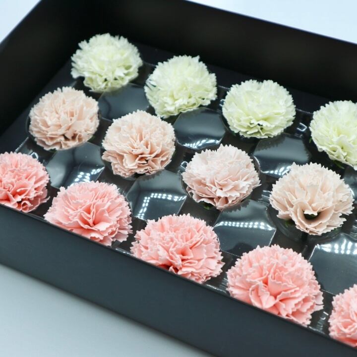 ミニカーネーションMC-MIX2アイボリー,ピーチ(15輪入り)