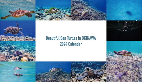 Beautiful Sea Turtles in OKINAWA 2024 卓上カレンダー B6リング (182mm x 128mm)