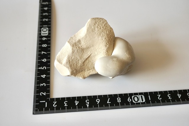 メニライトオパール 母岩付き Menilite Opal 1141