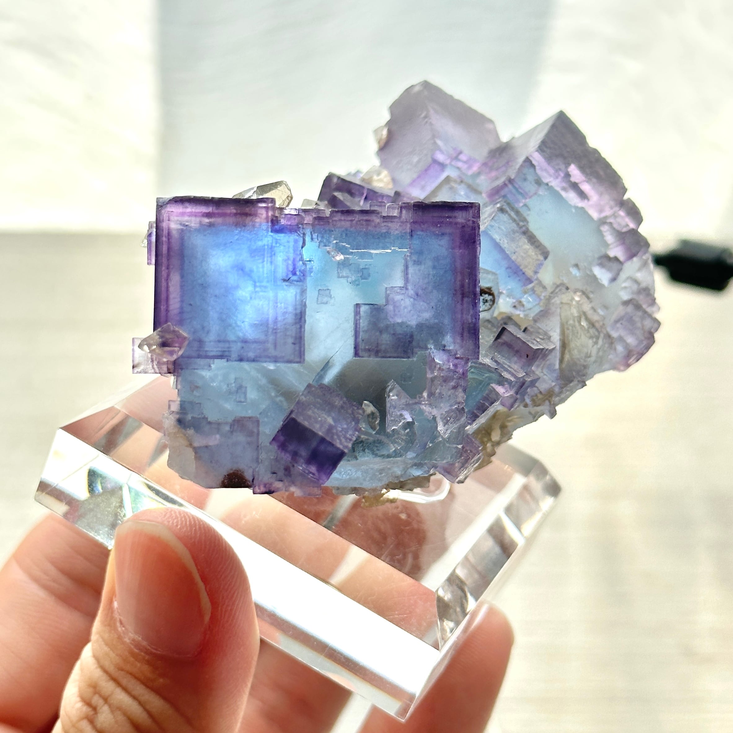 フローライト / カルサイト【Fluorite with Calcite】アメリカ産