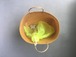 Butterfly hide out  0204