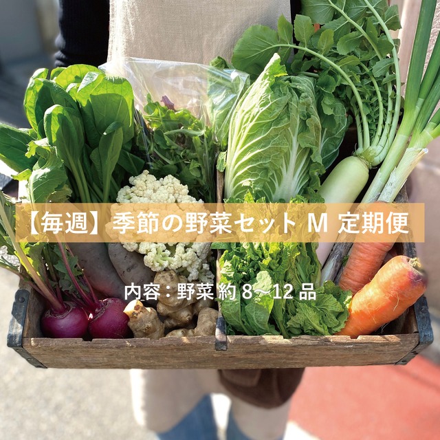 季節の野菜セットM　定期便　【毎週】