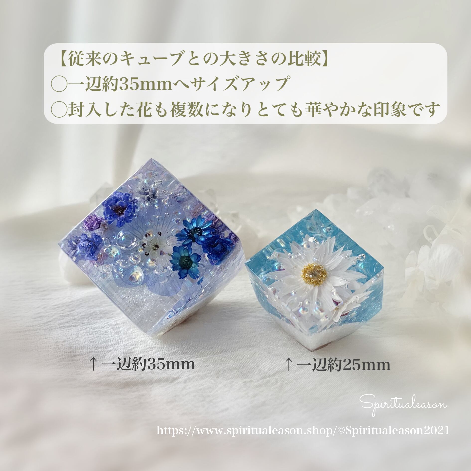 犬心頭 ヴァイタリティー保持 1 25kg X 4鞄 キノコ 雛型 制作室 Whirledpies Com