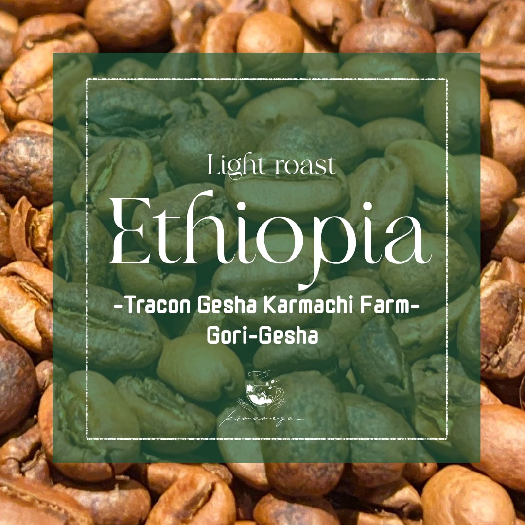 【エチオピア】Gori-Gesha Carbonic Maceration（S16〜17）｜Light Roast