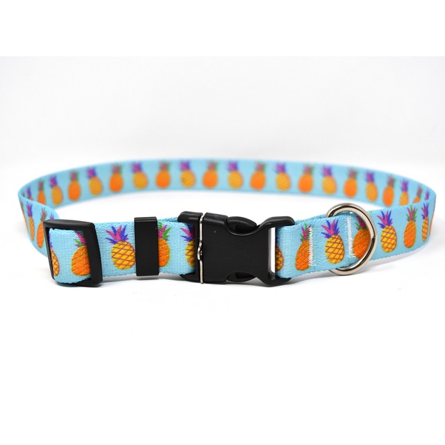 Pineapple Party　首輪＋リードセット Mサイズ - Yellow Dog Design