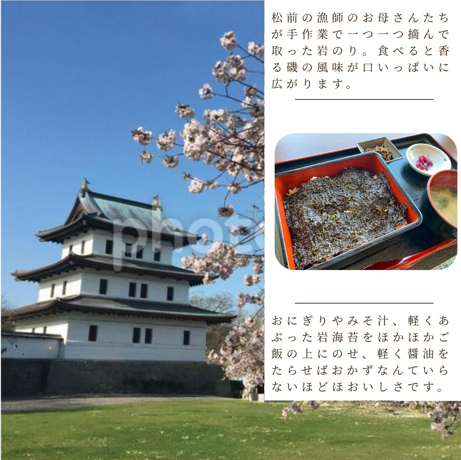 Nobuko！在庫処分セール！北海道松前産　岩海苔10枚入り！✖️6点 松前産】天然岩海苔 (10枚入り)◇岩海苔 のり ノリ 寒のり | 函館