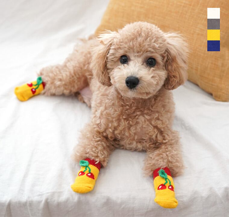 ペットフルーツ靴下 犬 犬用 シンプル 靴下 滑り止め 犬用ソックス 脱げない ペット用品 ドッグウェア ペット用品ショップ Nari Pet ペットフルーツ靴下 犬 犬用 シンプル 靴下 滑り止め 犬用ソックス 脱げない ペット用品 ドッグウェア ペット用品ショップ Nari Pet