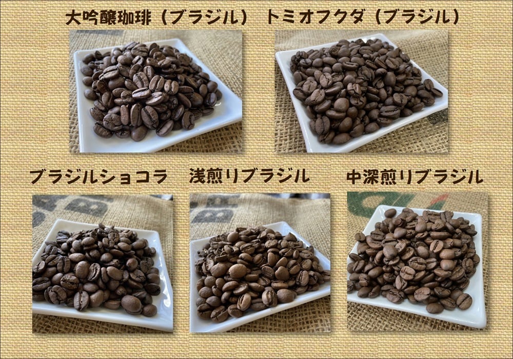 コーヒーセット（伯） 100g×5種類 | coffeeikeda