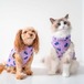 Le fleur tortue et violet